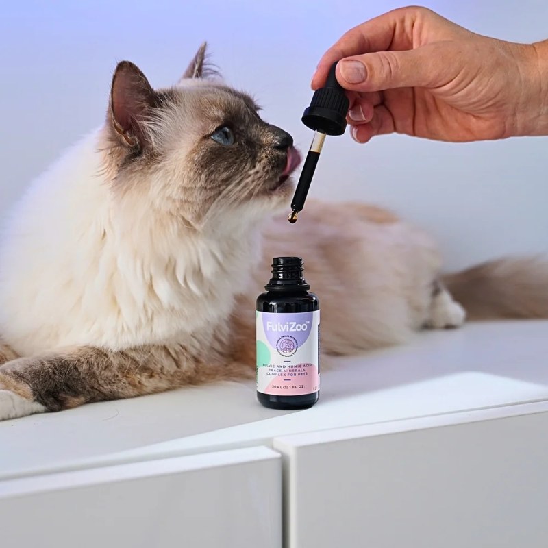 A cat licking a drop of FulviZoo shilajit from the dropper beside the 30ml bottle