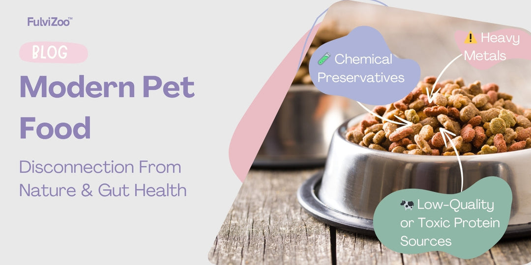 The Surprising Consequences of Processed Pet Food