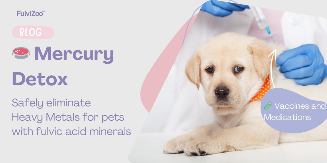 Fulvic Acid: An Active Defense against Mercury Exposure For Pets