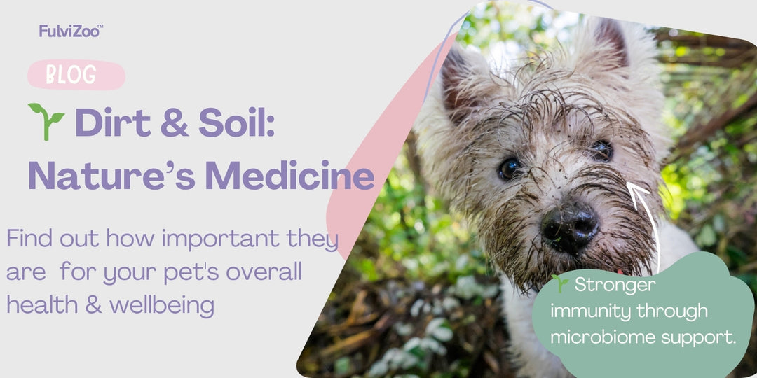 Why dirt and soil microbes are important for your pet's health?