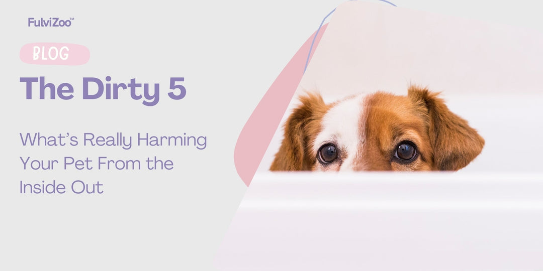 5 Silent Saboteurs of Your Pet’s Health