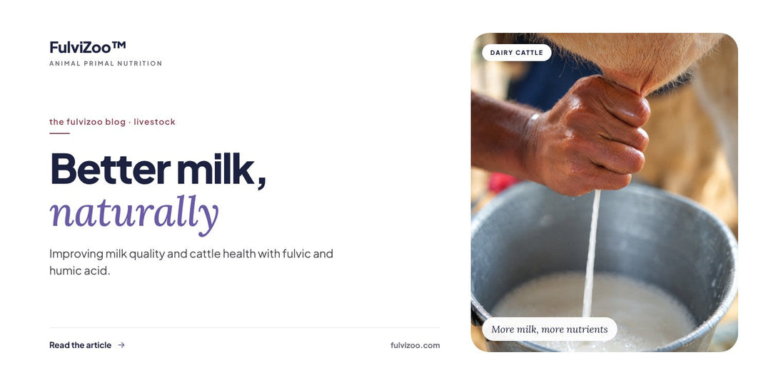 Better milk, naturally — FulviZoo blog