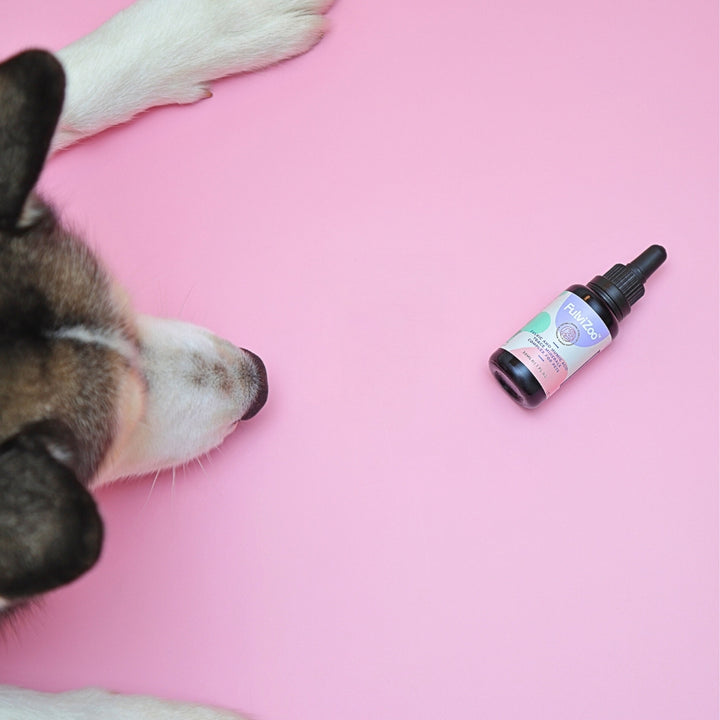FulviZoo™ 30ml - Fulvic Acid Formula for Cats and Dogs: