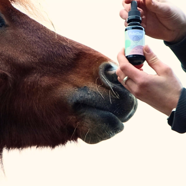 FulviZoo™ 30ml - Fulvic Acid for Pets